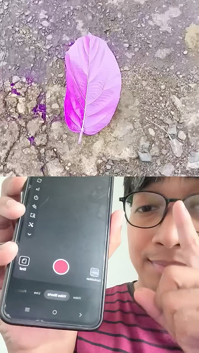 tut0r!al pur ple l4nd #shorts