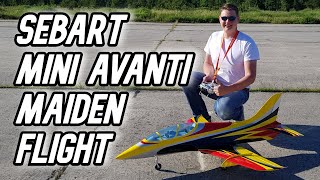Sebart Mini Avanti Maiden Flight- Rc Airplane - 90Mm Fan Edf - Jet Plane - Радиоуправляемый Самолет