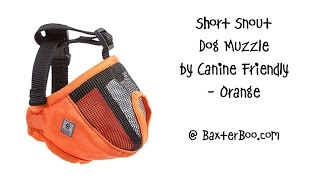 Short Snout Dog Muzzle by Canine Friendly - Orange