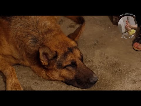 أقدام ميليسا سخي 5