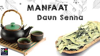 Manfaat Daun Senna | Si paling Sehat