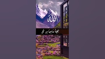 اللهم اجعل القران الكريم ربيع قلوبنا