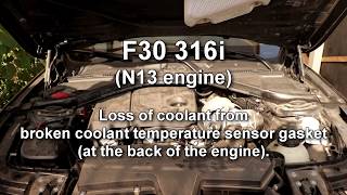 BMW F30 316i Coolant Temperature Sensor replacement