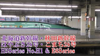 H5系！ 北海道･秋田新幹線H5系H1編成+E6系 はやぶさ・こまち28号 221119 JR Tohoku Shinkansen Omiya Sta.