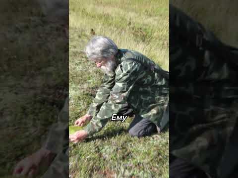 КОКОНЫ Которые тебе Лучше НЕ Трогать! #shorts