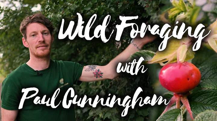 Wild Foraging With Paul Cunningham