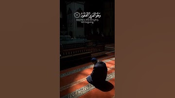 قرآن كريم بصوت القارئ سعد الغامدي تلاوة مؤثر ارح قلبك 💚🌿حالة واتس إسلامية /استوري انستغرام