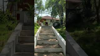Furyinc.Co - Bodyweight Workout - Bear Crawl Down Steps Set