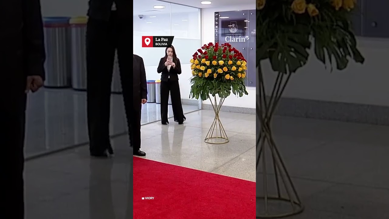 Javier Milei, en la asunción presidencial de Rodrigo Paz Pereira en Bolivia