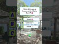 🌺 “Aloha State!”🏝️ “Tropical paradi sewhich US state is known as the Aloha State#usaquiz #usa