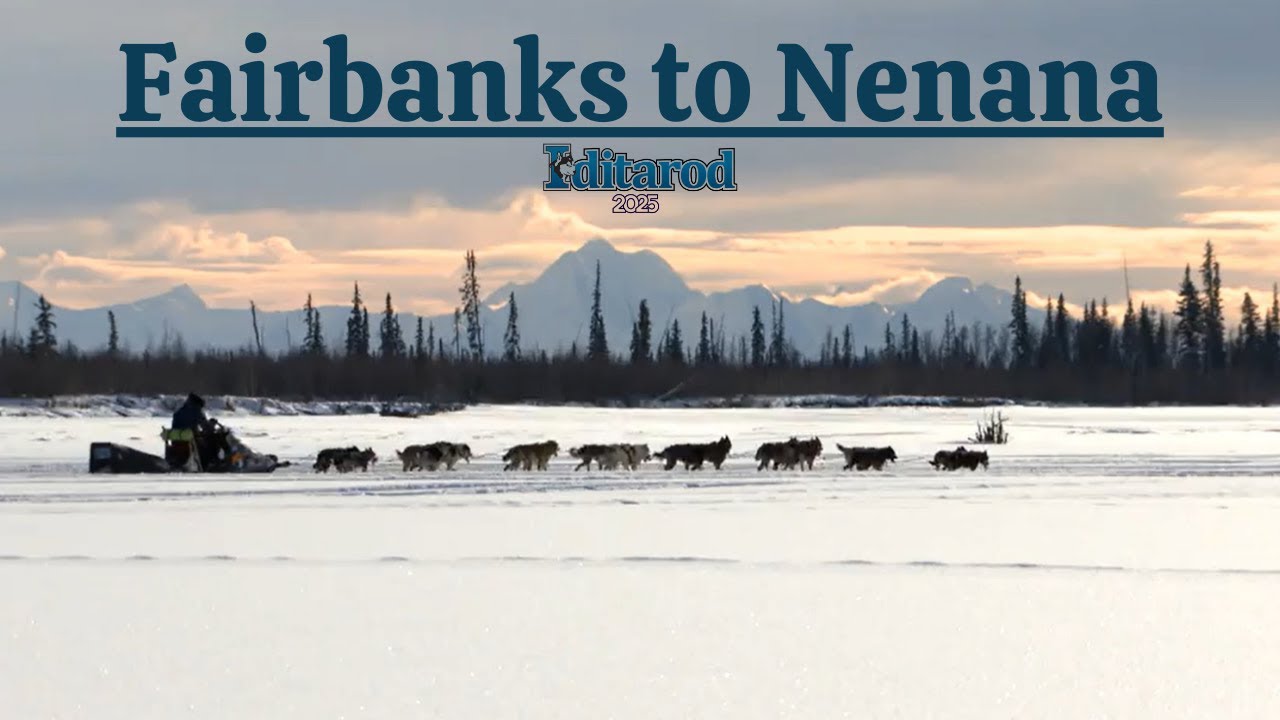 Iditarod 2025 | First 40 hours of racing