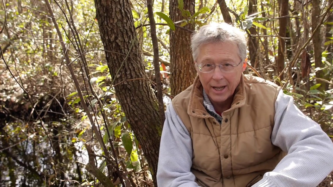 The Croatan Explorer - Pocosins Part 3 Soils