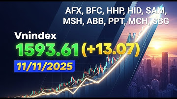 Cổ phiếu nào tích cực hơn Vnindex? | 11/11/2025