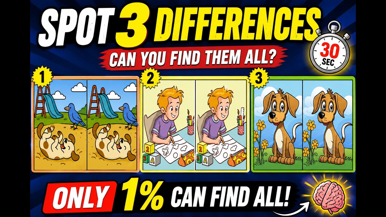 Spot the Difference Challenge | Find 3 Hidden Differences in 30