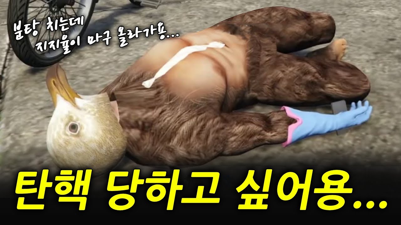 봉누도는 X망 했어용 제발 탄핵해줘용