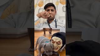 mini Dog's 😾 #feedshorts #shortfeed #comedyvideos #minidoge #foryou #trendingshorts #youtubeshorts