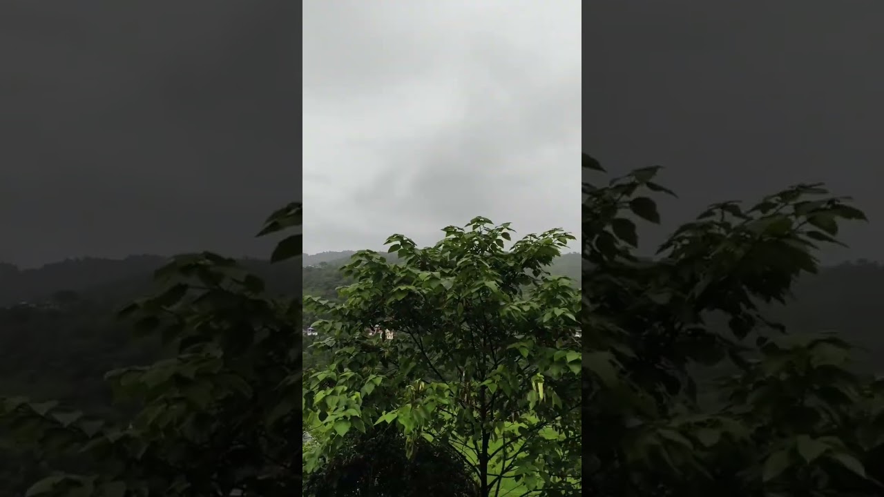 mousam to dekho...#heavyrain #badal #cloudburst #rainyday #rainyweather #rainsounds ⛰️🌧️🌲