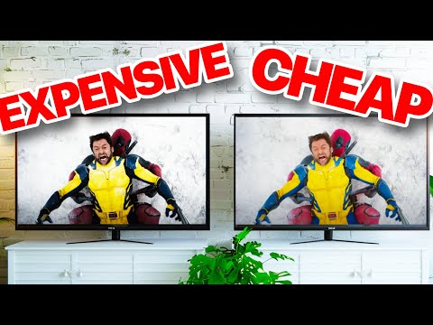 Cheap vs Expensive OLED TV: is there a difference?