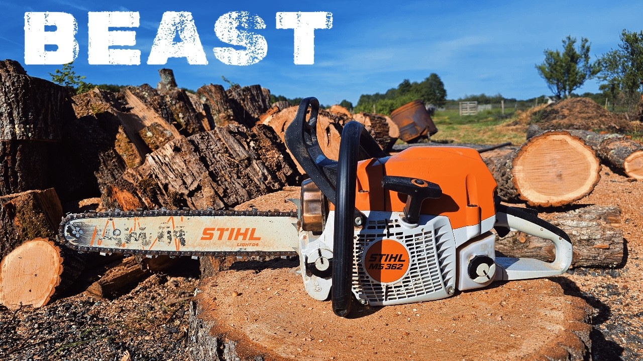 STIHL MS 362 in Action 🌲 Ultimate Bushcraft Chainsaw? - YouTube