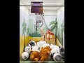 Arcademy real claw machines game