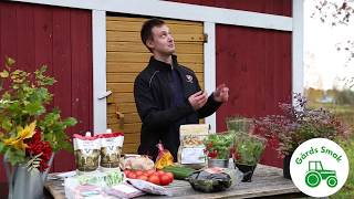 Gårds Smak: Syyskassi, made by Seger Marketing