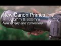 NEW Canon RF 600mm and 800mm primes + teleconverters | Overview