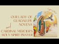 Guadalupe Novena Prayer/Cardinal Mercier Holy Spirit prayer.  Text included so you can pray with us.