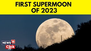 First Supermoon Of 2023 | July Buck Moon Illuminates The Skies Tonight | English News | News18