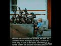 Some people just .! #motivation #digitalmahila #ytshorts #viral #socialmediachallenge43 #trending