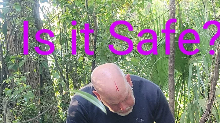 DOUBLE EDGED SMATCHET! APOC SURVIVAL!!!!!!  @CASIberia