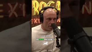 JOE ROGAN ABOUT HIPPIES to REAL G‘S 🍃 JOE ROGAN ABOUT HIPPIES to REAL G‘S 🍃