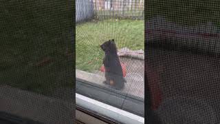 My Favourite Morning View