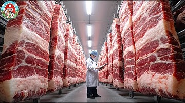 Millions of Bacon Strips Made Daily – Bacon Production in Meat Factory