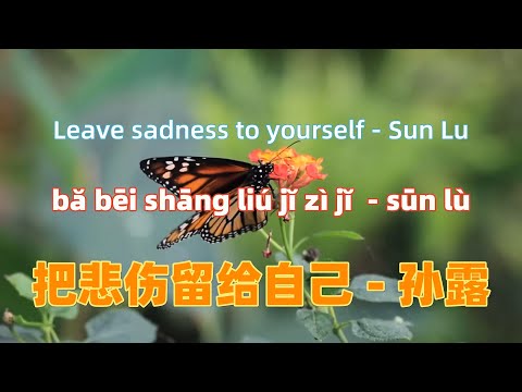 把悲伤留给自己 - 孙露 ba bei shang liu gei zi ji - Sun Lu.顶级磁性女声.Chinese songs lyrics with Pinyin.