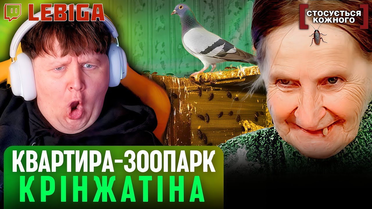 ТАРГАНИ, ГОЛУБИ, КОТИ | КВАРТИРА-ЗООПАРК ► Лебіга Дивиться «СТОСУЄТЬСЯ КОЖНОГО»