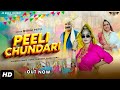 Peeli chundari official mohini patel  joginder kundu  papal sangwan  haryanvi song 2024