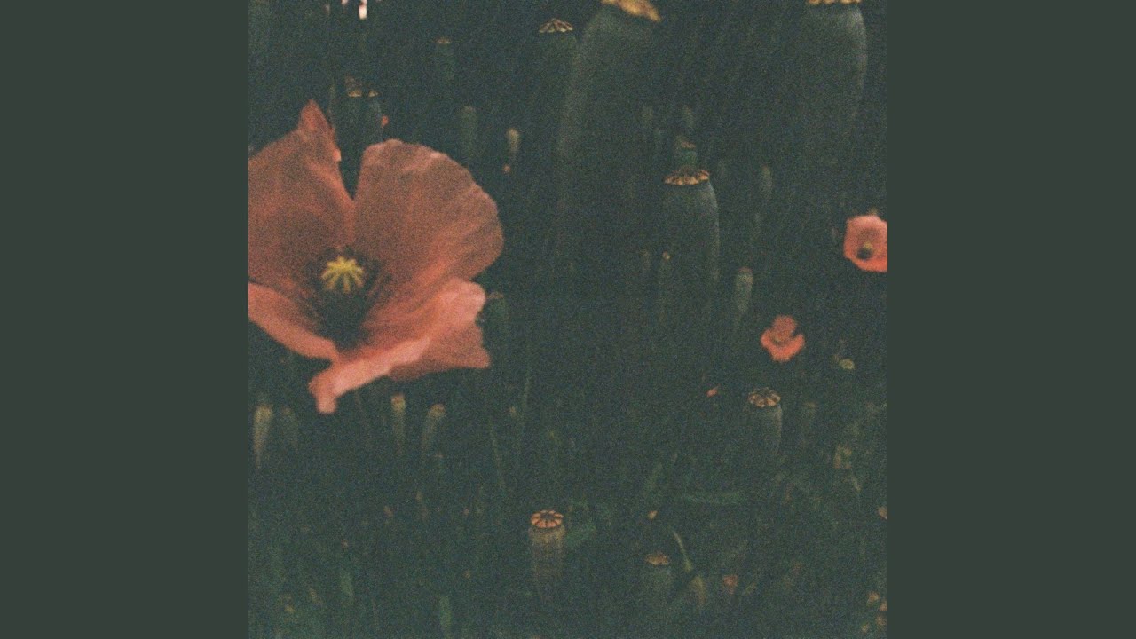 Watch doxepin on YouTube Watch doxepin on YouTube