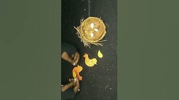 Diy bird nest/ how to make bird nest #shorts #youtubeshorts #diy