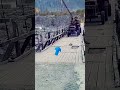 Driving #funny #funnyapp #ibnehasham_ksr