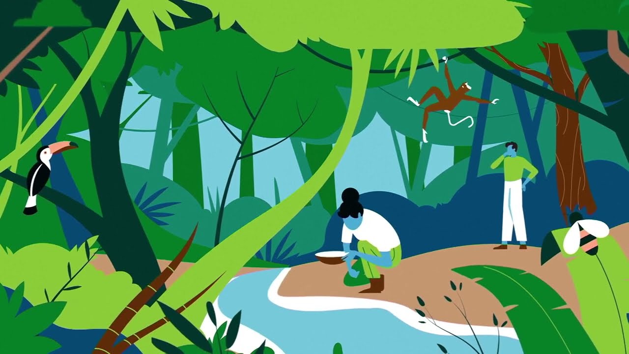 Forest Partnerships - Teaser