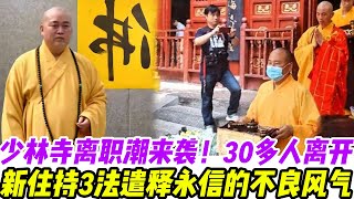 少林寺離職潮來襲!30多人離開,新住持3法遣釋永信的不良風氣!#釋永信