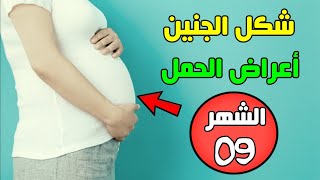 شكل الجنين واعراض الحمل في الشهر التاسع