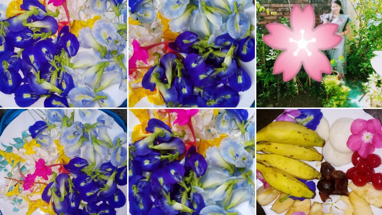 Anginat flowers agar Aprajita me pana chahte hai,kar lijiye ye kaam 💁 ...