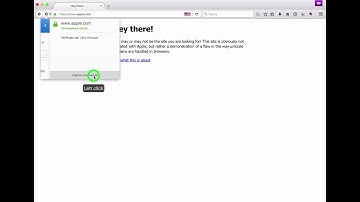 Phishing with Unicode Domains - Demonstration