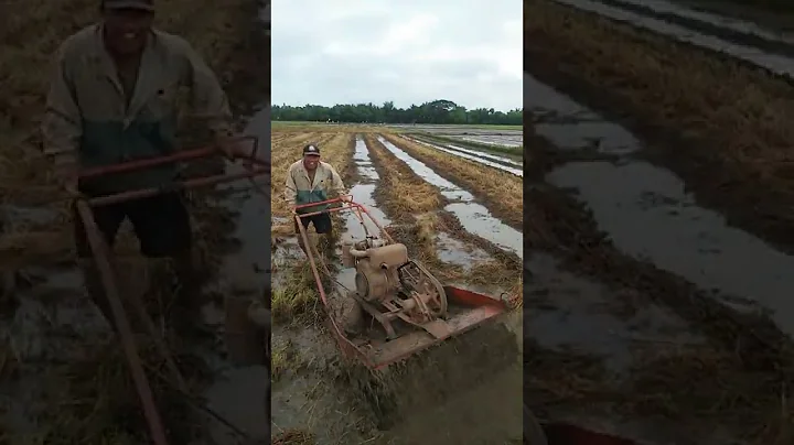 FARM LIFE