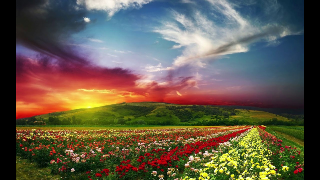 HECTOR HOLGUIN : MADRE SOLO HAY UNA