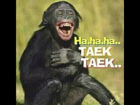 video reondom bikin ngakak🤣🤣🤣 lepas penat dengan tertawa PART 1 