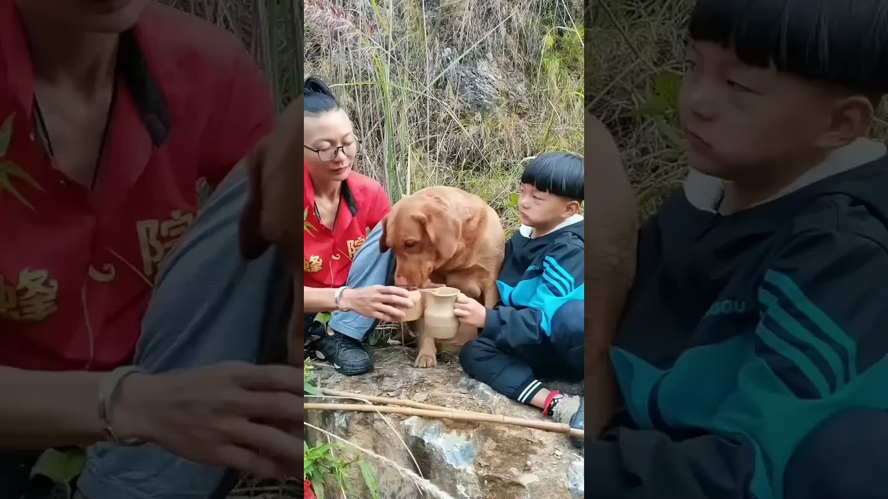 If you don't have a dog, you don't ki the fun of raising a dog. Rural life. Rurallife