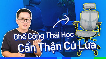 03 lưu ý quan trọng khi mua ghế công thái học!!