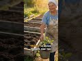 Почему жимолость не дает ягод: ошибка при посадке #жимолость #сад #огород